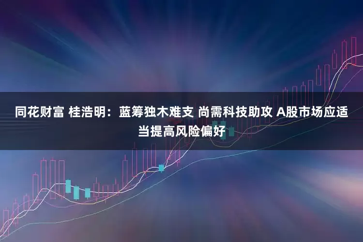 同花财富 桂浩明：蓝筹独木难支 尚需科技助攻 A股市场应适当提高风险偏好