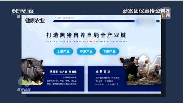 贝盈网 已有数万人被骗！“云认养”黑猪就能高额返利还稳赚不赔？起底“云养殖”骗局→