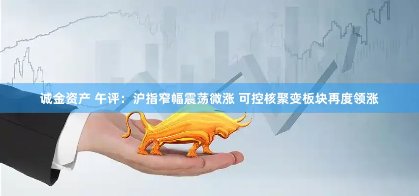 诚金资产 午评：沪指窄幅震荡微涨 可控核聚变板块再度领涨