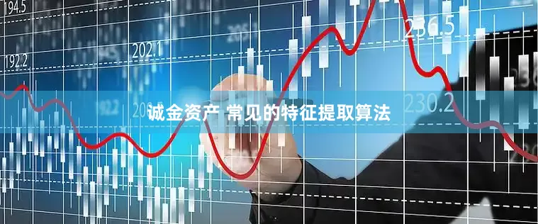诚金资产 常见的特征提取算法