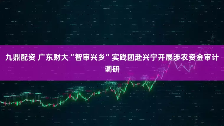 九鼎配资 广东财大“智审兴乡”实践团赴兴宁开展涉农资金审计调研