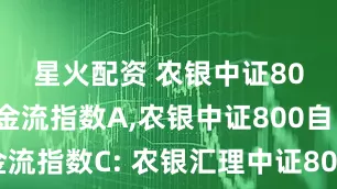 星火配资 农银中证800自由现金流指数A,农银中证800自由现金流指数C: 农银汇理中证800自由现金流指数型证券投资基金基金合同