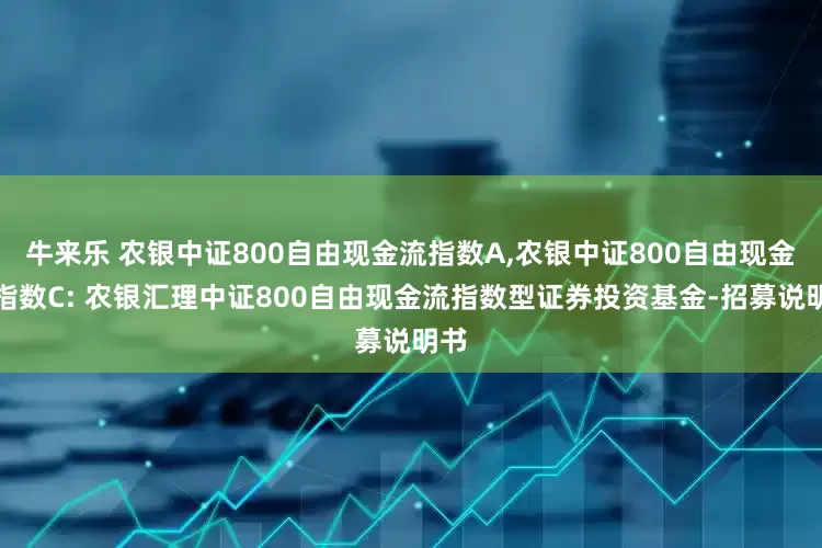 牛来乐 农银中证800自由现金流指数A,农银中证800自由现金流指数C: 农银汇理中证800自由现金流指数型证券投资基金-招募说明书