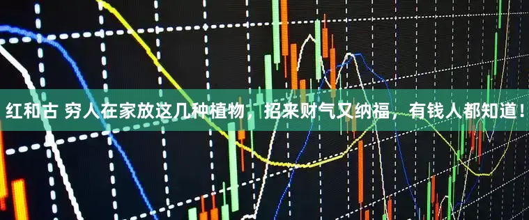 红和古 穷人在家放这几种植物，招来财气又纳福，有钱人都知道！